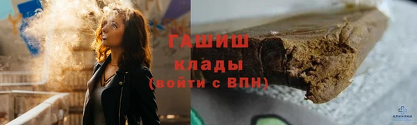 СК Алексин
