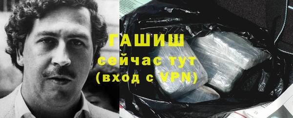 СК Алексин