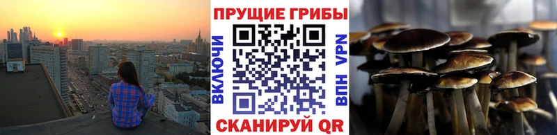 Псилоцибиновые грибы прущие грибы  наркотики  Вышний Волочёк 
