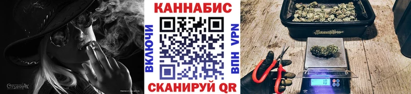 Бошки Шишки сатива  как найти закладки  Вышний Волочёк 